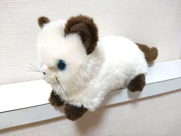 JOYFULMATES 샴고양이 봉제 인형 화이트와 브라운
