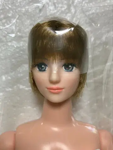 리카짱 캐슬 오타노시미 인형 타쿠미 오타노시미 인형