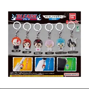 BLEACH 메지루시 액세서리 2 아란칼 편
