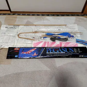 PEGASUS LP-08 B급 모형