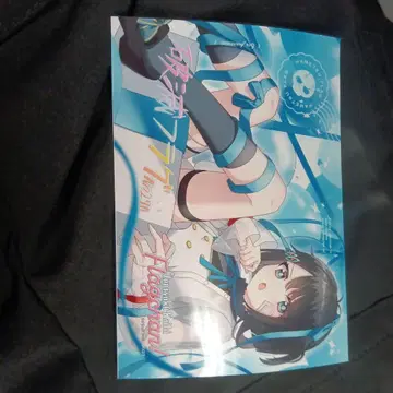 전력 회피 플래그짱 브로마이드 파멸 플래그