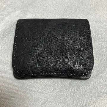 와일드 스완스 팜 엘리펀트