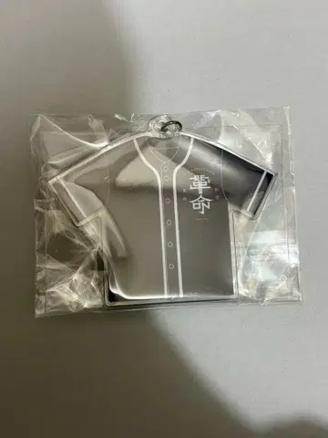 T.M.Revolution 이어폰 업그레이드 키링