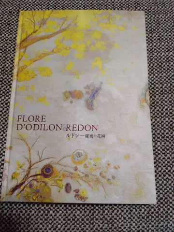 오딜롱 르동 비밀의 꽃 정원 도록