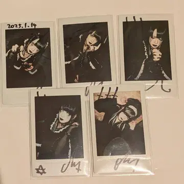 DazzlingBAD 마사 MASA 폴라로이드 5장 세트