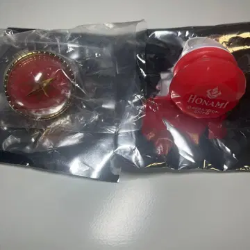 모치즈키 호나미 링 라이트 린라이