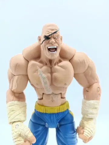 스트리트 파이터 사가트 피규어 SOTA TOYS