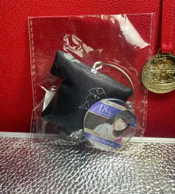 노기자카46 하야시 루나 생일 기념 T셔츠형 쿠션 키링