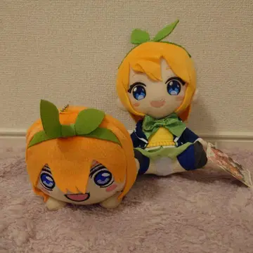 애니메이션 캐릭터 나카노 이츠하 봉제 인형 택 포함 2점 세트