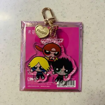 파워퍼프걸 블라인드 아크릴 참 라우디 러프 보이즈