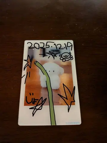 조세마루 팝업 체키 포토 카드