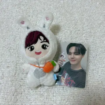 funny treasure bbiro 도영 인형