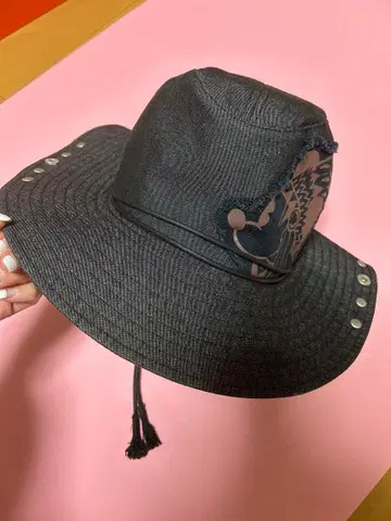 도쿄 디즈니 리조트 웨스턴 햇