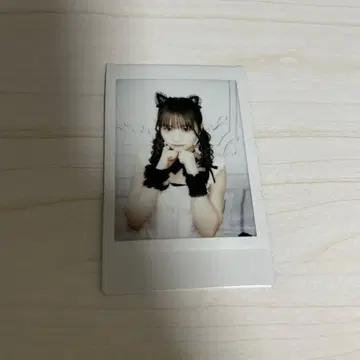 Onephony 타지마 사쿠라코 LARME 란체키