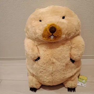 마모트 MOTTOTO 봉제 인형 보바 군