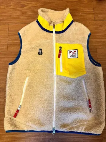 사이코 배니 보아 베스트