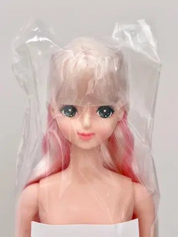 즐거운 인형 미라이 리카짱 제니