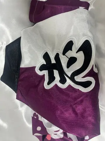 우라시마사카타센 시마 하피