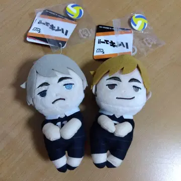 미야 형제 세트 춋코리상