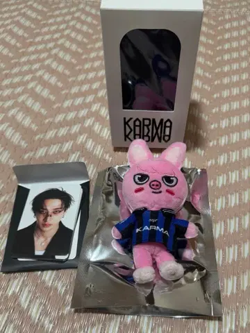 karma skzoo ver. 돼끼 봉제 인형