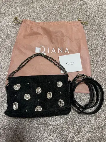 DIANA 비쥬 장식 블랙 숄더백