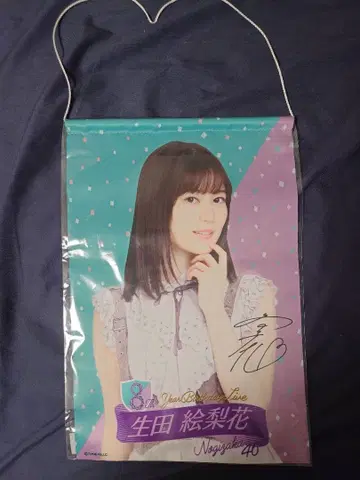 이쿠타 에리카 태피스트리 노기자카46