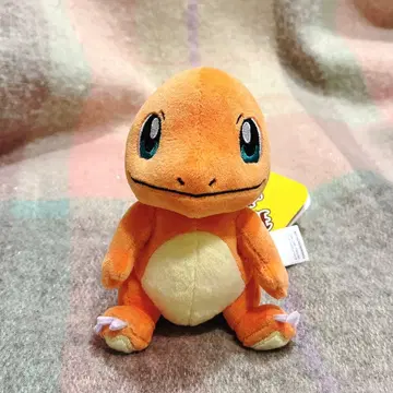 포켓몬 핏 봉제 인형 pokemonfit