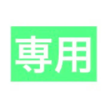 patagonia 다운 파카 2005년제