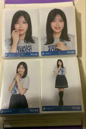 시바타 유나 브로마이드 컴프 라이브t 언더 라이브 40th 노기자카