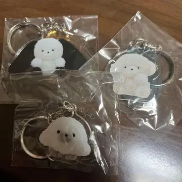 조세마루 그림 전시회 한정판 가챠 세트 판매