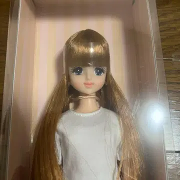 2017년 일본교 베이직 모델 초대 제니 리카짱 캐슬