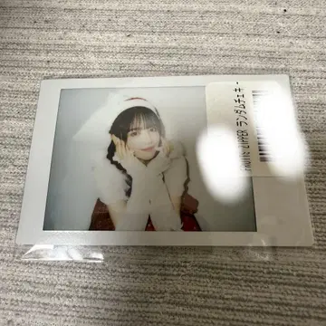 진세이 스즈카 폴라로이드