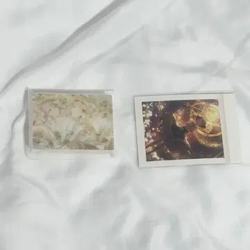 프로젝트 세카이 [ 모치즈키 호나미 ]