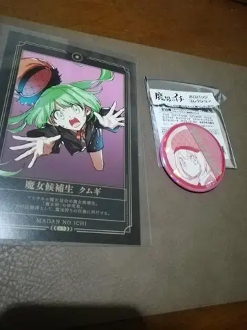 마남의 이치 금기 호로 배지 컬렉션, 카드