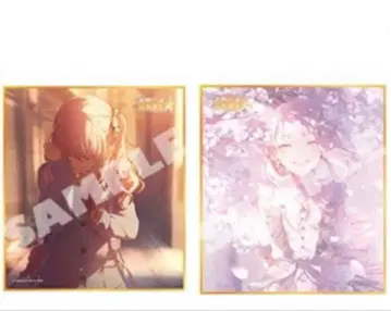 프로세카 색지 53A 아키야마 미즈키