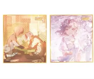 프로세카 색지 53A 시노노메 에나