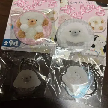 마루코로 외 죠세마루 팝업 세트 판매