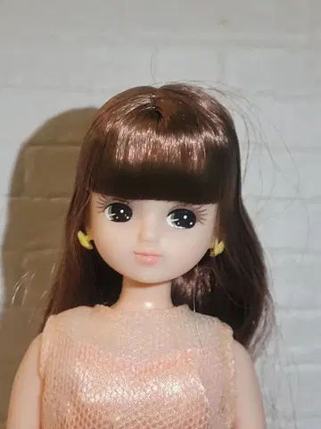 리카짱 캐슬 인형 교실 스탠다드 리카짱 브라운