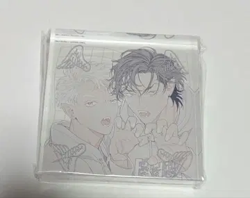 FANGS 빌리 발리 응모자 전원 서비스 아크릴 블록