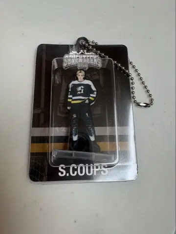 SEVENTEEN HOME 에스크프스 승철 아크릴 키링