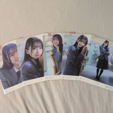 노기자카46 스가와라 사츠키 브로마이드 17분간 개별 브로마이드