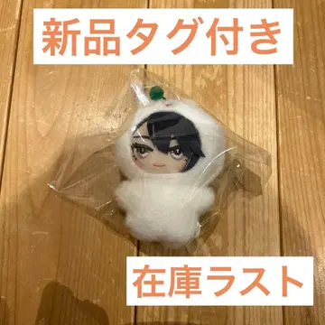 18trip 미니코레 카가야 소우시 택 포함 새상품