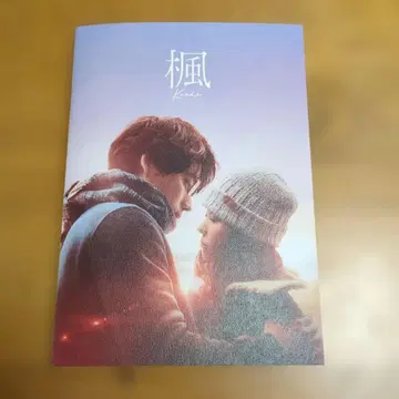 영화 [ 단풍 ] 팜플렛