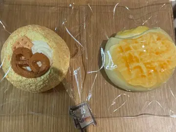 Daydream 스퀴즈 2점