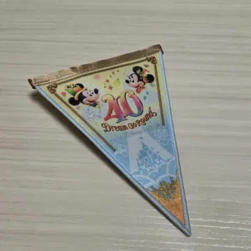 디즈니랜드 40주년 드림 가랜드