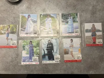 2024년 8월 개별 브로마이드 5장 세트 x 8