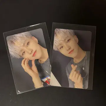 SEVENTEEN 호시 흩날리는 꽃잎 트레이딩 카드