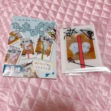 조세마루들 폴라로이드 카드 조세마루 팝 그리기 전시회 폴라로이드