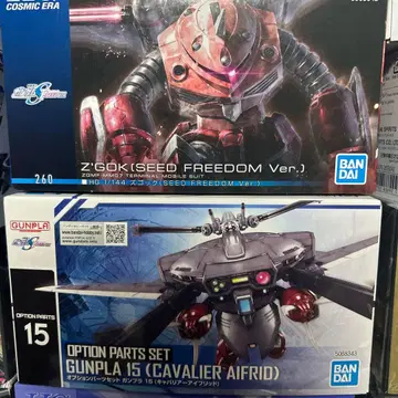 HG 1/144 즈고크 (SEED FREEDOM Ver.)