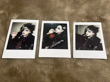 마미레타 벌채 폴라로이드